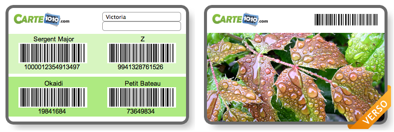 Carte1010 - Exemple2